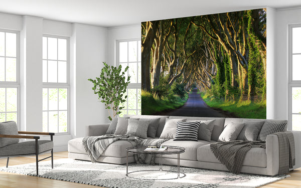 Nature Wallpaper, Non Woven, Road of the Giant Trees Wallpaper, Beautiful Alley Wall Mural