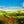 Nature Wallpaper, Non Woven, Red Flower Field Wallpaper, Red Poppy Blooming Landscape Wall Mural