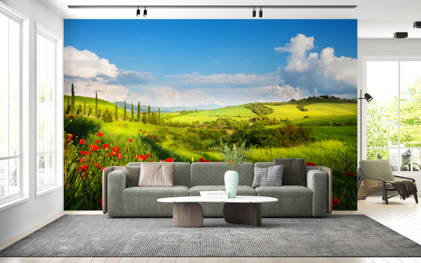 Nature Wallpaper, Non Woven, Red Flower Field Wallpaper, Red Poppy Blooming Landscape Wall Mural