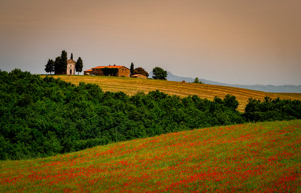 Nature Wallpaper, Non Woven, Poppy field with old chapel in Tuscany Italy Wall Mural