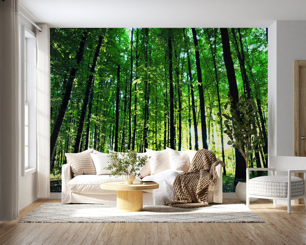 Nature Wallpaper, Non Woven, Summer Green Forest Wallpaper, Sunlight in green forest Wall Mural