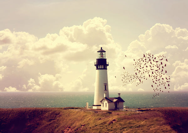 Nature Wallpaper, Non Woven, Lighthouse and Birds Wallpaper, Sea & Sky Wall Mural