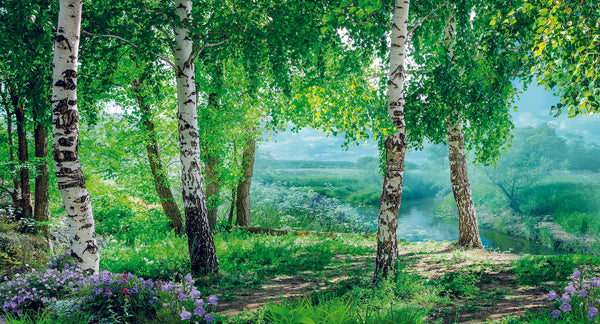 Nature Wallpaper, Non Woven, Landscape with Birches Wallpaper, Summer Forest Wall Mural