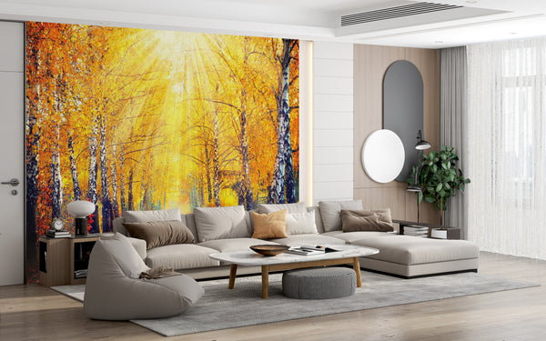 Nature Wallpaper, Non Woven, Birch Tree Autumn View Wallpaper, Yellow Leaves Wall Mural