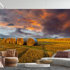  Haymaking Farmland Sunset Wallpaper