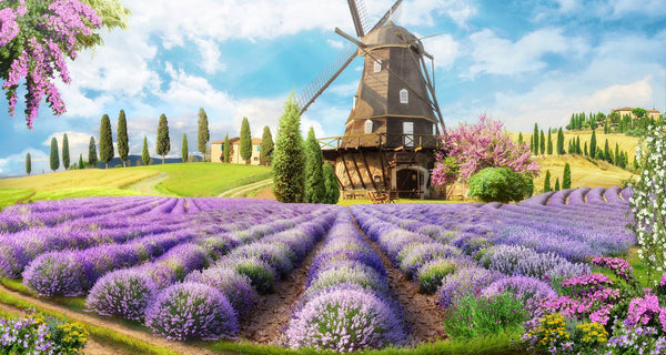 Fresco Wallpaper, Non Woven, Provence Landscape Wallpaper, Mill in Lavender Flowers Wall Mural