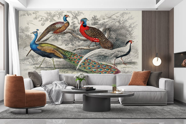 Fresco Wallpaper, Non Woven, Colorful Peacock Birds Wallpaper, Pheasants Birds Wall Mural