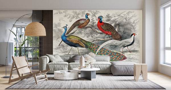 Fresco Mural | Colorful Peacock Birds Wallpaper