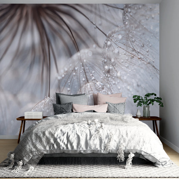 Flower Wallpaper, Non Woven, Dandelion seeds Wallpaper, Raindrops Wall Mural