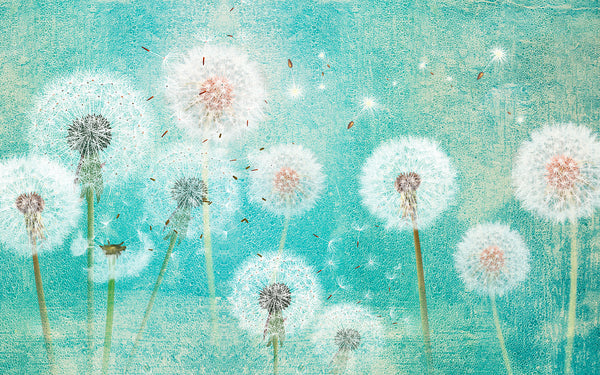 Flower Wallpaper, Non Woven, Dandelions On Turquoise Background Wallpaper, Spring Floral Wall Mural