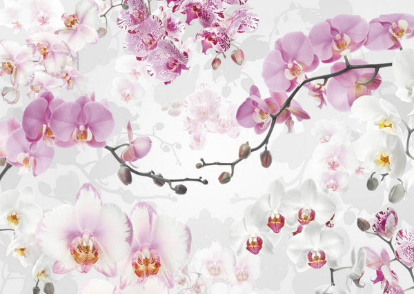 Flower Wallpaper, Non Woven, Multi-colored Orchids Wallpaper, White & Pink Floral Branches Wall Mural