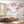 Flower Wallpaper, Non Woven, Multi-colored Orchids Wallpaper, White & Pink Floral Branches Wall Mural