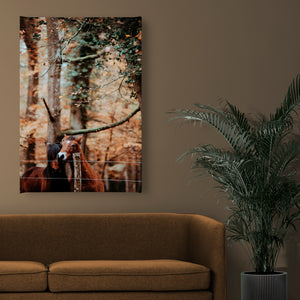 Wall Poster - Autumn Forest & Horses