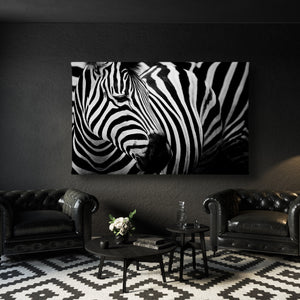 Wall Poster - Black & White Zebra