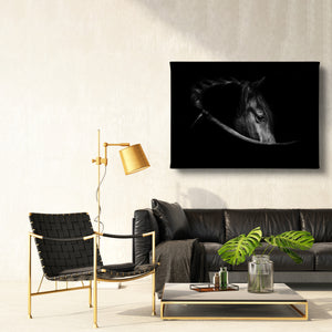 Wall Poster - Black Horse