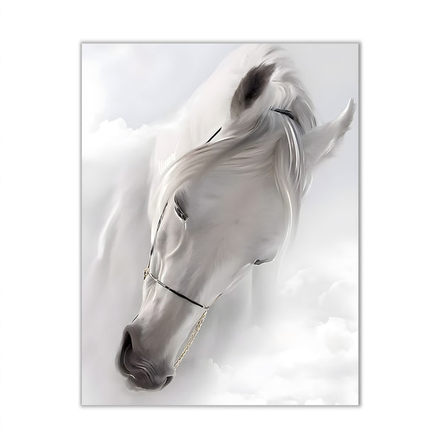 Canvas Wall Art, White Gorgeos Horse, Wall Poster
