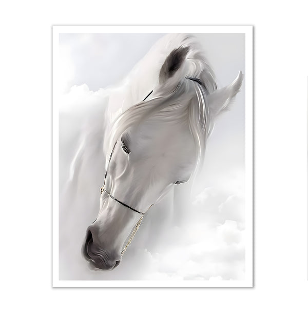 Canvas Wall Art, White Gorgeos Horse, Wall Poster