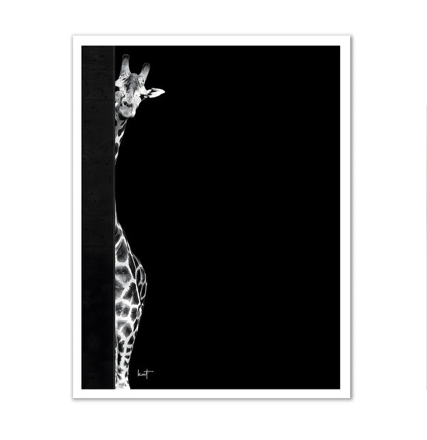 Canvas Wall Art, Black & White Giraffe, Wall Poster