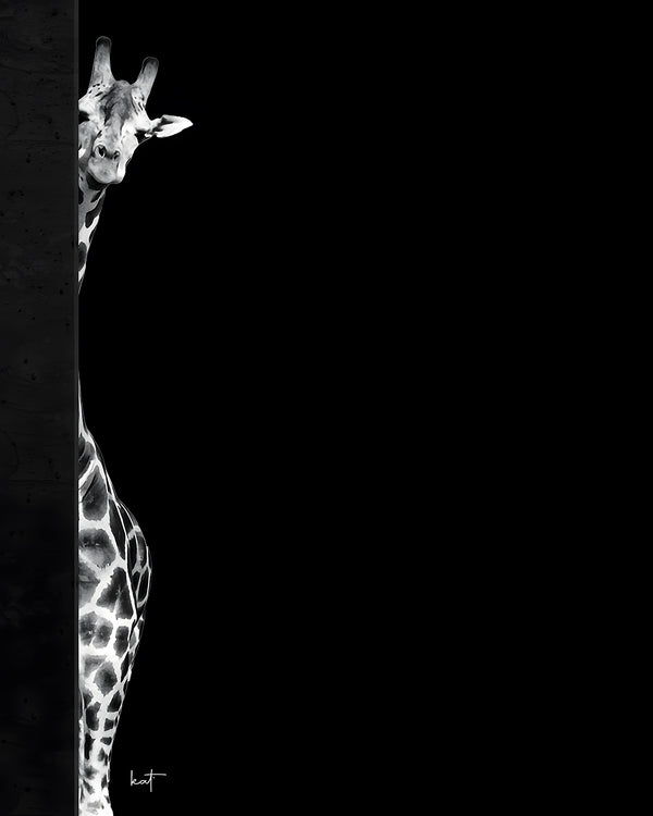 Canvas Wall Art, Black & White Giraffe, Wall Poster