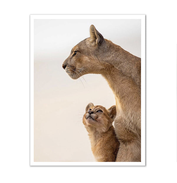 Canvas Wall Art, Lion Mom & Child, Wall Poster