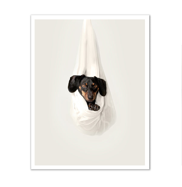 Canvas Wall Art, Cute Black Puppy, Wall Poster