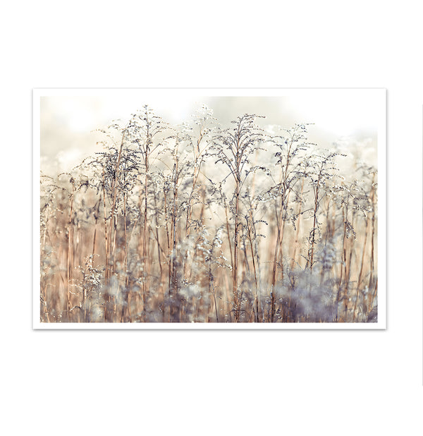 Canvas Wall Art, Autumn Dried Grass, Wall Poster