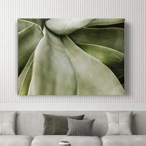 Canvas Wall Art  -  Aesthetic Green Leaf Element