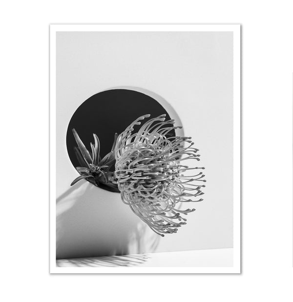 Canvas Wall Art, Black & White Flower Element, Wall Poster