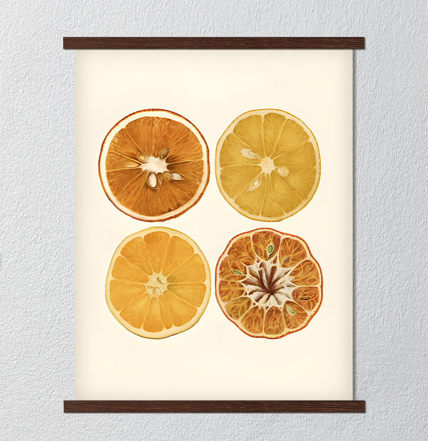 Canvas Wall Art, Orange Citrus, Wall Poster