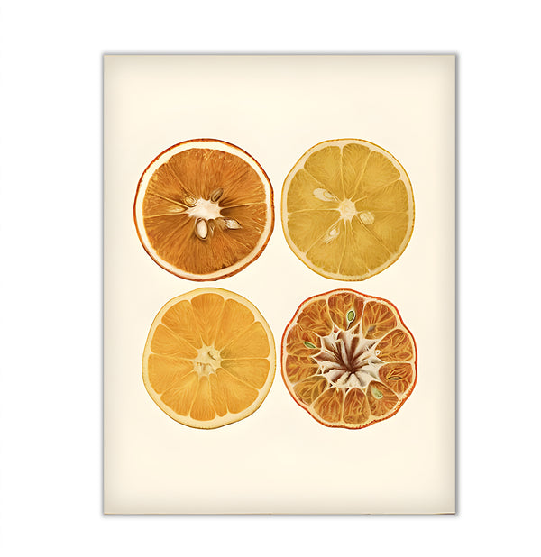 Canvas Wall Art, Orange Citrus, Wall Poster