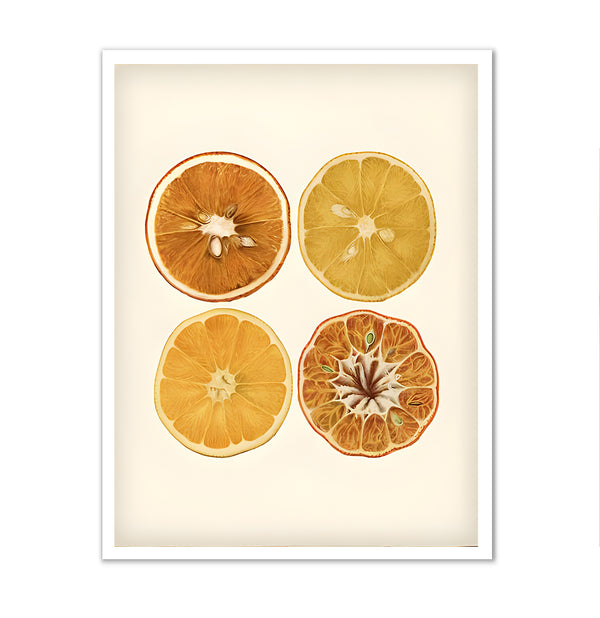 Canvas Wall Art, Orange Citrus, Wall Poster