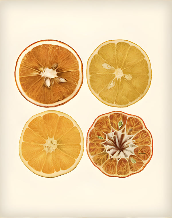 Canvas Wall Art, Orange Citrus, Wall Poster