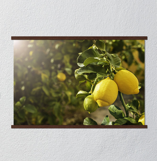 Canvas Wall Art, Lemon Branch, Wall Poster