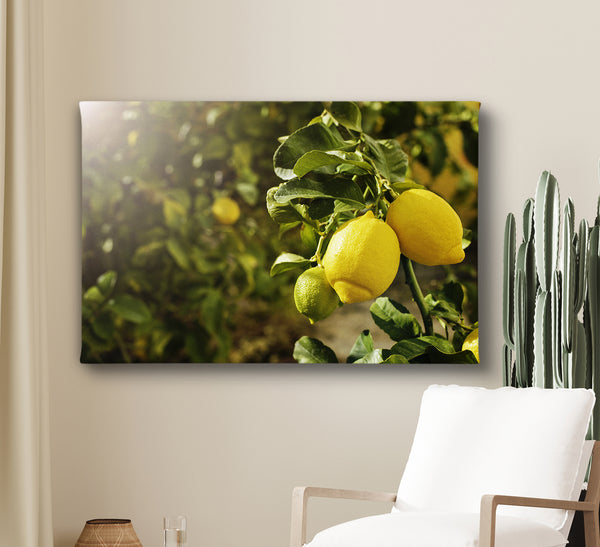 Canvas Wall Art - Lemon Branch