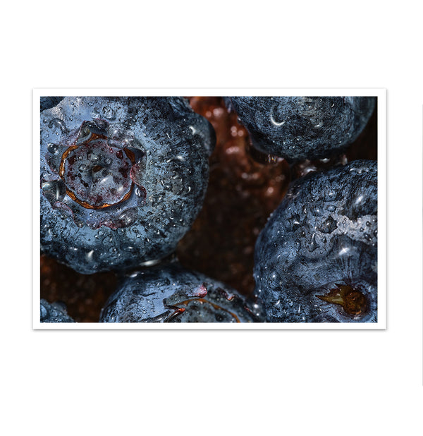 Canvas Wall Art, Fresh Blueberries, Wall Poster