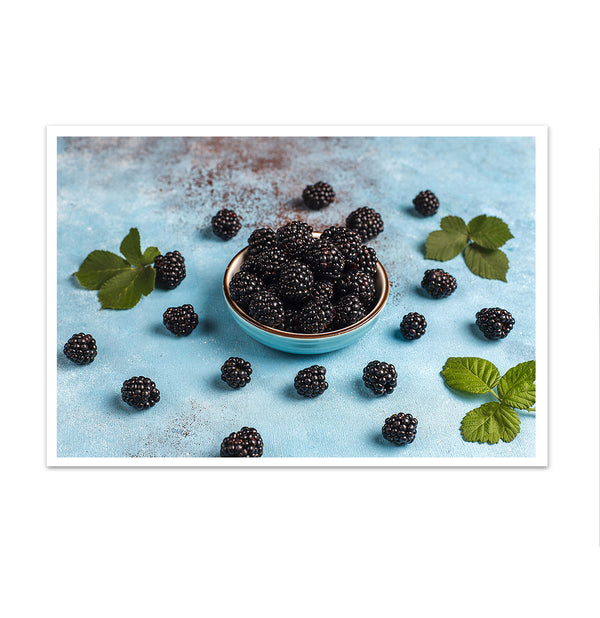 Canvas Wall Art, Fresh Blackberries, Wall Poster