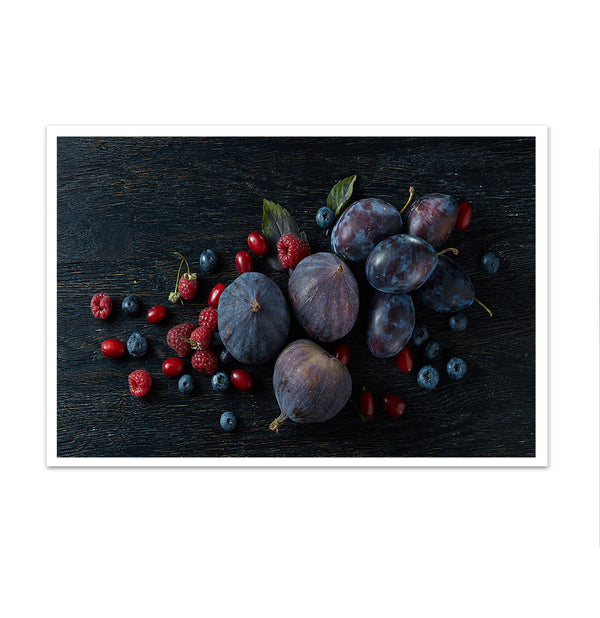 Canvas Wall Art, Wild Fig Fruits on Dark Background, Wall Poster