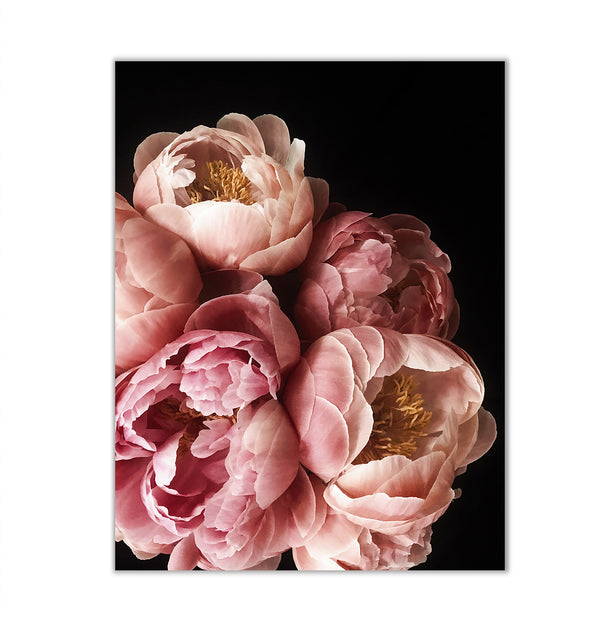 Canvas Wall Art, Pink Peony Flowers Wall Poster