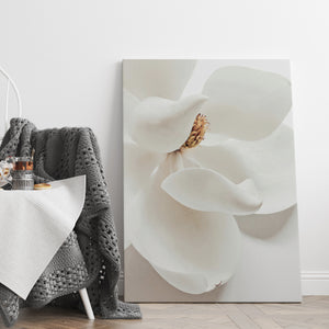 Canvas Wall Art -  White Magnolia Flower Wall Poster