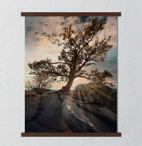 Сanvas Wall Poster, Gorgeos Tree, Wall Art