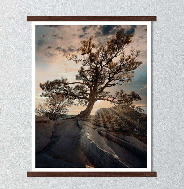 Сanvas Wall Poster, Gorgeos Tree, Wall Art