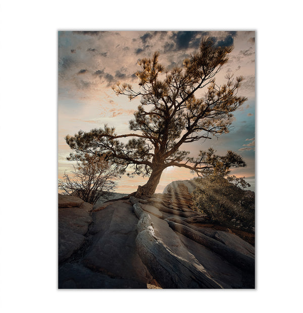 Сanvas Wall Poster, Gorgeos Tree, Wall Art