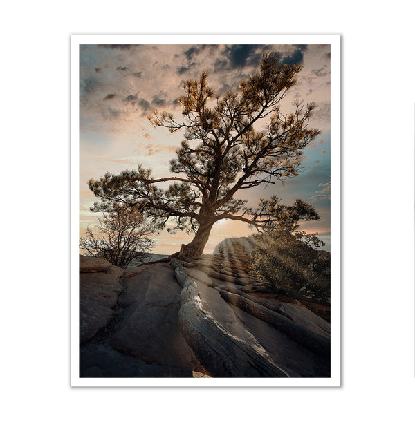 Сanvas Wall Poster, Gorgeos Tree, Wall Art