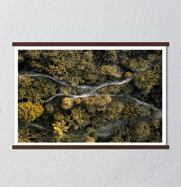 Сanvas Wall Poster, Middle of Forest & Green Trees, Wall Art