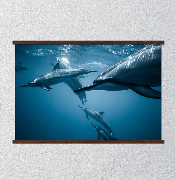 Canvas Wall Poster, Dolphins under the Water, Wall Art