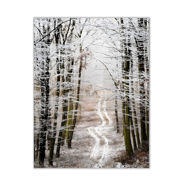 Canvas Wall Poster, Autumn Forest, Wall Art