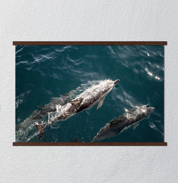 Canvas Wall Art, Dolphin Fishes Deep Blue Ocean, Wall Poster