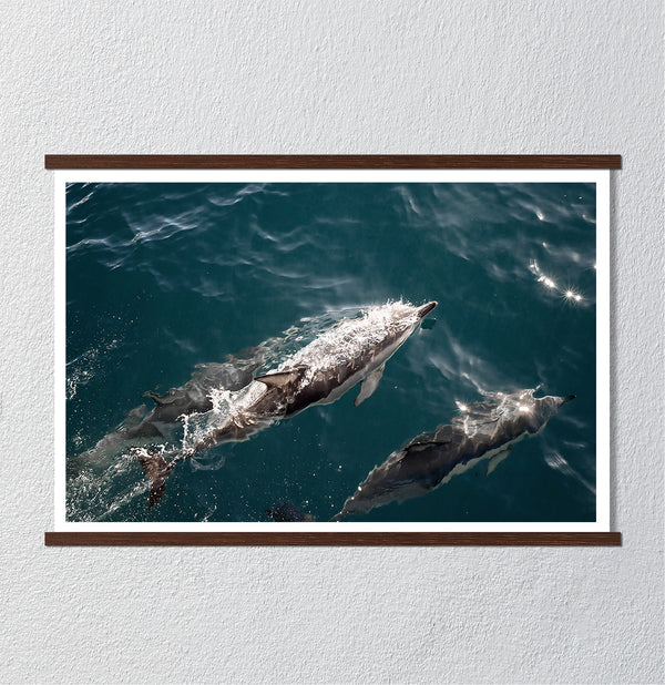 Canvas Wall Art, Dolphin Fishes Deep Blue Ocean, Wall Poster