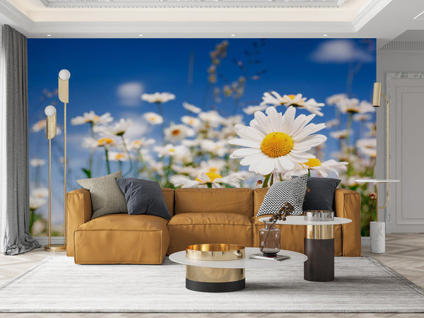 Flower Wallpaper, Non Woven, Chamomile Flowers Wallpaper, Daisy Wall Mural