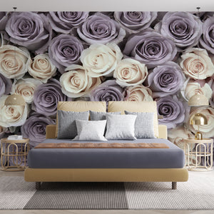  Pale Purple & White Rose Flowers 